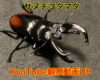 サヌチフタマタ更新